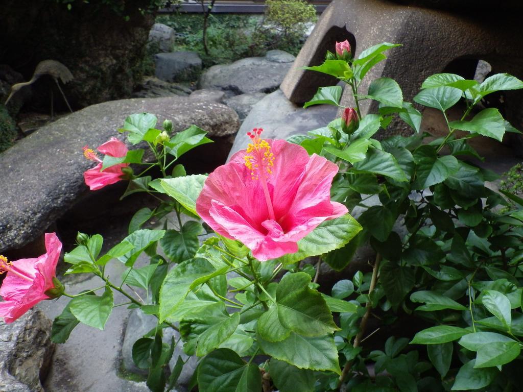Uokagi Ryokan Nagoya Dış mekan fotoğraf
